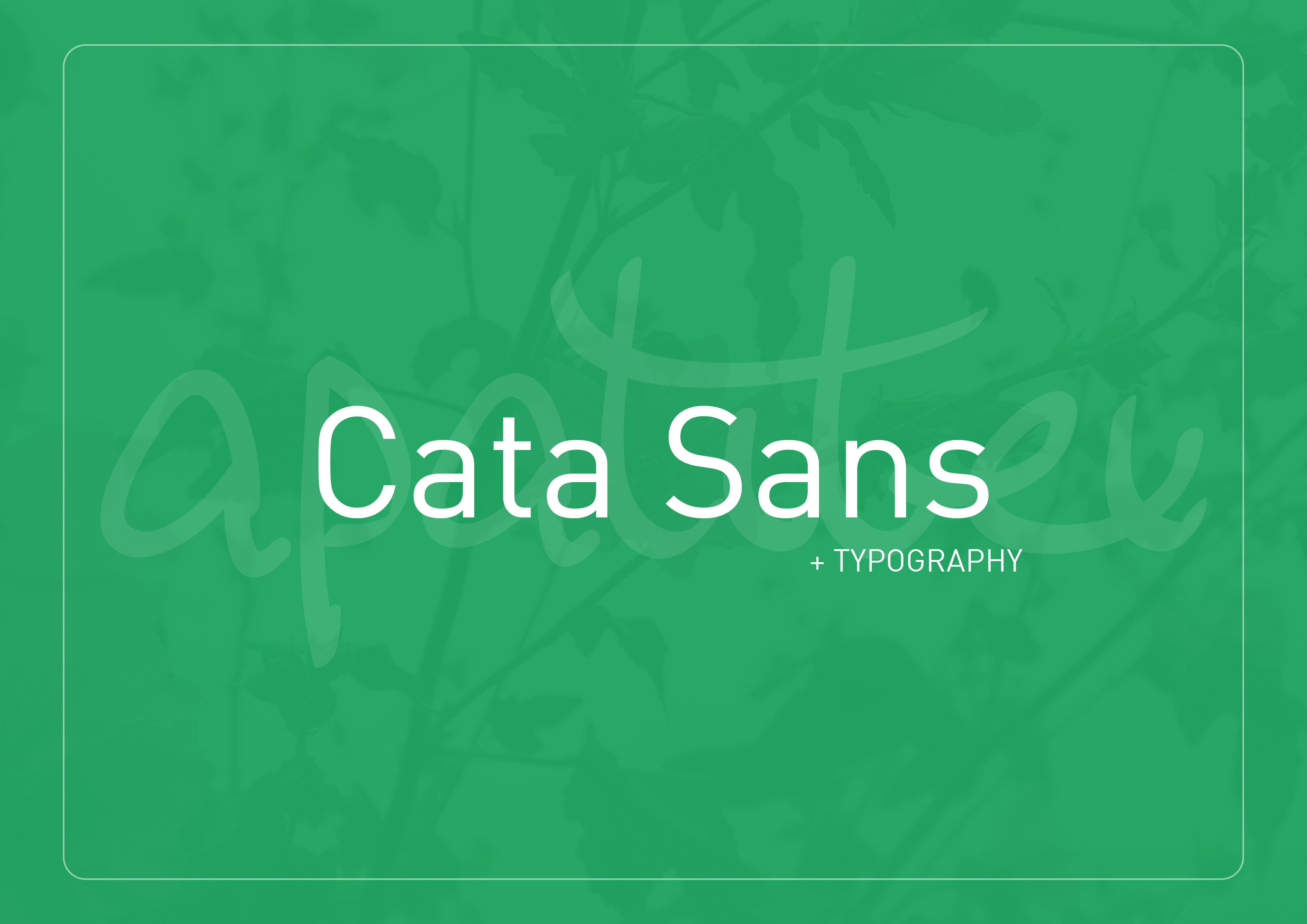 Cata Sans